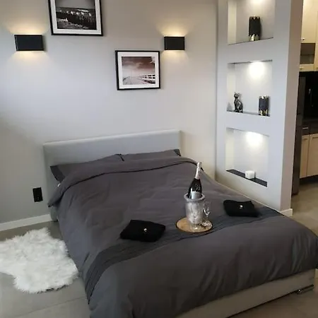 아파트 Grey Bezplatny Parking 슈비노우이스쳬